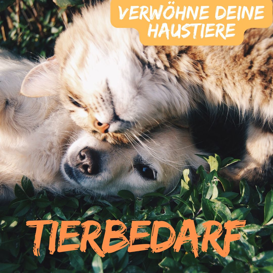 haustier-bedarf-katze-hund-körbchen-futternapf