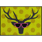 Fußmatte Wohnmatte FUNKY DEER 50 x 75 cm...