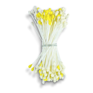 Staubblüten Blütenpollen weiß/gelb 5 cm 144 Stück Städter ST905191