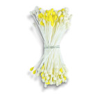 Staubblüten Blütenpollen weiß/gelb 5 cm...