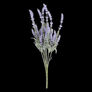 6PL0204 Lavendelzweig Lavendel Kunstpflanze Kunstblume 48 cm Clayre & Eef