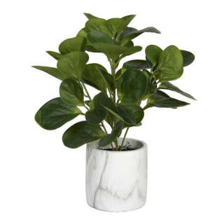 6PL0218 Kunstpflanze Kunstblume Zimmerpflanze Grünpflanze 31*31*32 cm Clayre & Eef