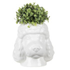 6CE1298 Extravagante Vase Blumenvase Hund Pudel Hundekopf...