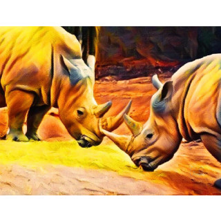 Foto109 Nashorn Art Fotokunst auf Leinwand 60 x 45 cm Bild Gemälde Wanddekoration Wandbild Art Kunst