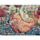 Foto132 Flamingo 60 x 45 cm Fotokunst auf Leinwand Bild Gemälde Wanddekoration Wandbild Art Kunst