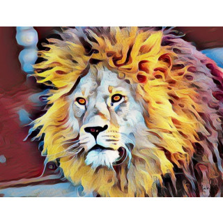 Foto136 Löwe Löwenkopf Löwenmähne 60 x 45 cm Fotokunst auf Leinwand König-der-Löwen-Tiere Kunst Art Bilder Gemälde 