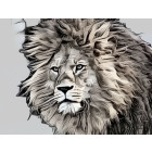 Foto140 Löwe Löwenkopf 60 x 45 cm Fotokunst auf Leinwand Art Kunst-Objekt König-der-Löwen-Tiere Gemälde  