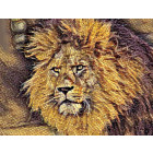 Foto142 Löwe Löwenkopf 60 x 45 cm Foto-Kunst auf Leinwand König-der-Tiere-Löwen Gemälde Art Kunstwerk 