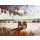 Foto156 Sehnsucht zum Meer Auszeit Meeresrauschen Liegestuhl Wellen 60 x 45 cm Fotokunst auf Leinwand Kunst Art Gemälde Bild 