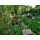 Apartment Safari Lodge im Pilgerglück