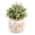 Clayre & Eef - Blumentopf Übertopf Pflanztopf Blumen Streublümchen Blüten Wildblumen -  ca. 15x13 cm