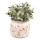 Clayre & Eef - Blumentopf Übertopf Pflanztopf Wildblumen Blumen Blüten -  ca. 20x15 cm