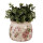 Clayre & Eef - Blumentopf Pflanztopf Ranken Blumen Blüten