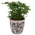 Clayre & Eef - Blumentopf Übertopf Pflanztopf blaue Wiesenblumen