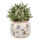 Clayre & Eef - Blumentopf Übertopf Pflanztopf Blumen Blüten
