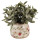 Clayre & Eef - Blumentopf Übertopf Pflanztopf Erdbeeren Erdbeerpflanze Ranken