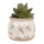 Clayre & Eef - Blumentopf Übertopf Pflanztopf Mediterran Oliven Olivenzweig