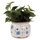 Clayre & Eef - Blumentopf Übertopf Pflanztopf Blumen Blüten