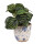 Clayre & Eef - Blumentopf Übertopf Pflanztopf Blumen Blüten