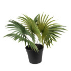 6PL0226 Kunstblume Kunstpflanze Grünpflanze Palme Clayre & Eef