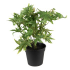 6PL0230 Kunstblume Kunstpflanze Hanf Cannabis Clayre...