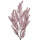 5PL0052 Trockenpflanze Trockenblume Gras Gräser Kräuter Clayre & Eef