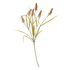 5PL0064 Trockenblume Trockenpflanze Gras Gräser Clayre & Eef