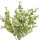6PL0250 Kunstblume Kunstpflanze Grünpflanze Blumen-Strauss Clayre & Eef