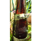 1937 Rüdesheimer Berg Burgweg Riesling Spätlese Weingut Carl Ehrhard