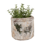 Clayre & Eef - Blumentopf...