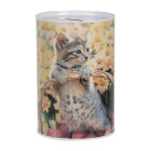 Clayre & Eef - Spardose Motiv Katze Kitten: Dein...