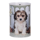 Clayre & Eef - Spardose Motiv Hund: Sparend...