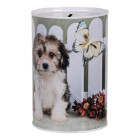 Clayre & Eef - Spardose Motiv Hund: Sparend...