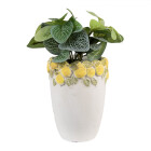 Clayre & Eef - Stein-Blumentopf mit Zitronen-Design:...
