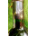 2009 Chateau Montus Alain Brumont Madiran Frankreich