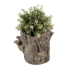 Clayre & Eef - Natur pur: Dein Blumentopf in...