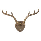6Y5899 Wandhaken Hirsch-Geweih: Dein goldener...
