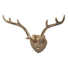 6Y5899 Wandhaken Hirsch-Geweih: Dein goldener Trophäen-Halter! 🦌🏆 Clayre & Eef