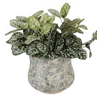 Clayre & Eef - Pflanztopf Country Chic: Der stilvolle...