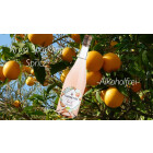 GD193759SL: Florentina Spritz 0.0% Bio – Der...