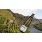 GD194957SL 🍇 Dr. Pauly-Bergweiler Alkoholfrei –...