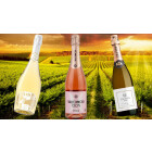 Sparkling Zero-Selection: Frankreich trifft Spanien 🌟