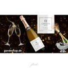 Sparkling Zero-Selection: Frankreich trifft Spanien 🌟