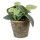 Clayre & Eef - Kleines Stück Naturglück Blumentopf -  ca. 10x9 cm