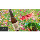 P & M Sparkling Tea Rhubarb Green Tea 0,0%